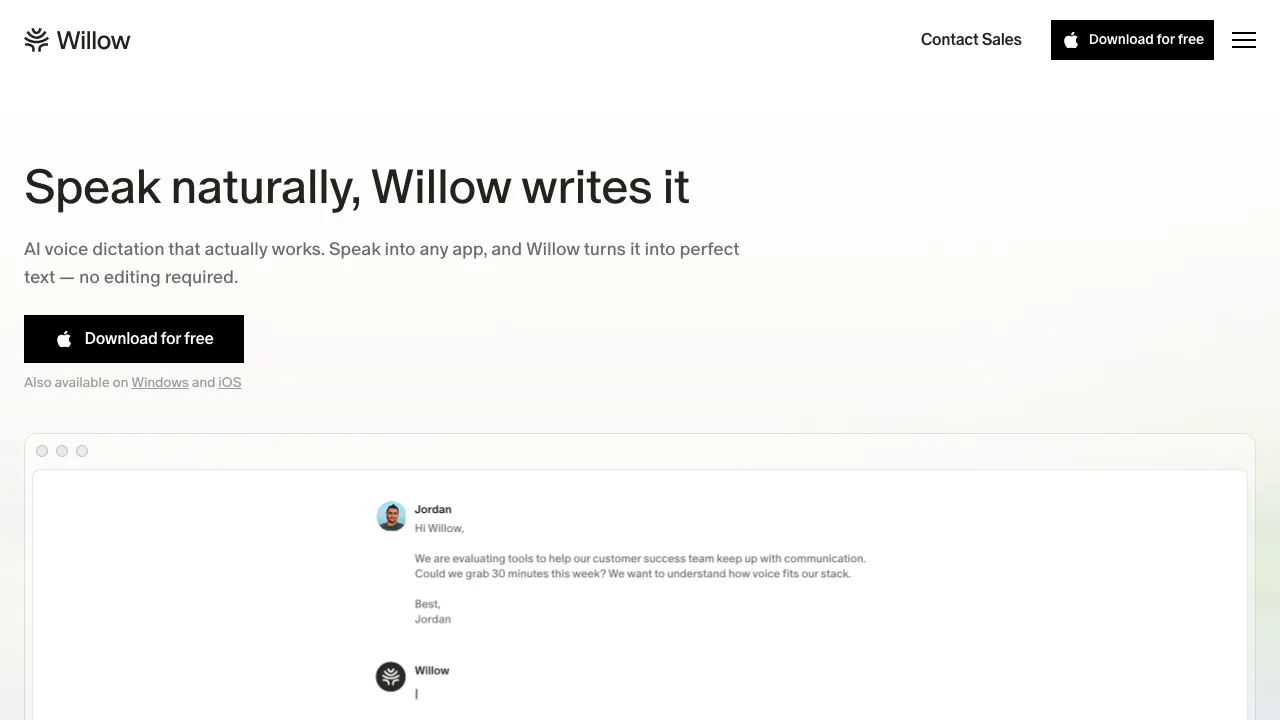 Willow Voice screenshot